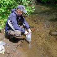 Sampling sediment in Cogswell Creek.
