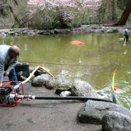 Upper Duck pond, Lithia Park, Ashland